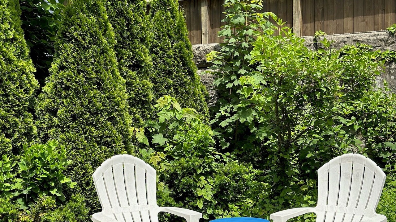 Photo of Outdoor in Yachting Village