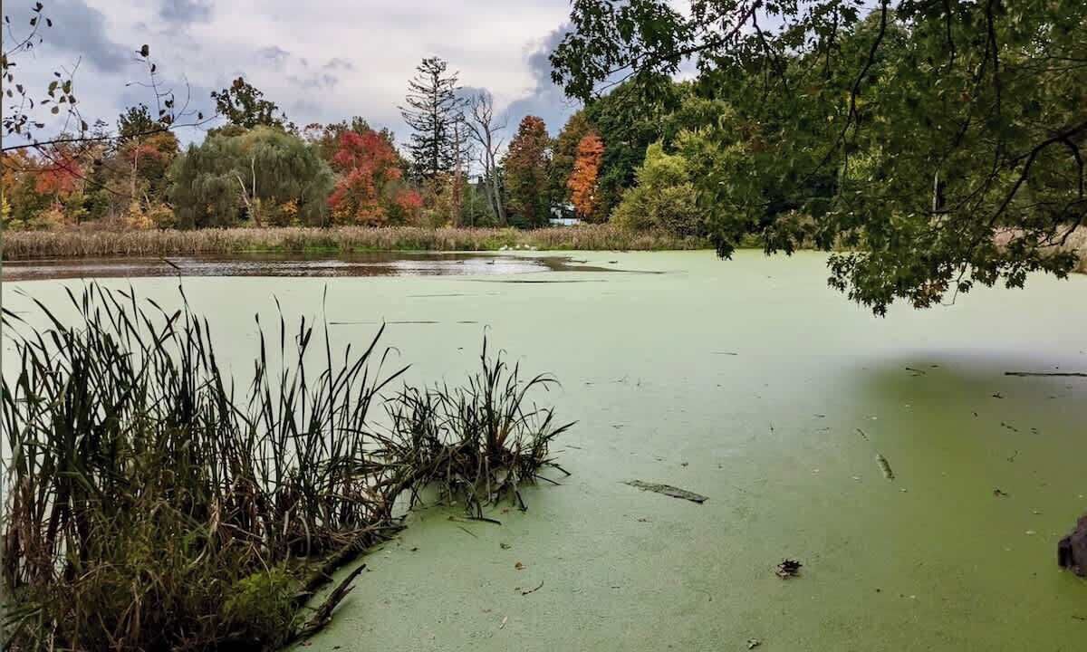 Photo of Others in Arlington