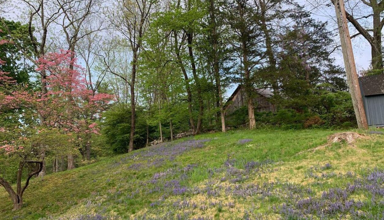 Photo of Outdoor in Weston