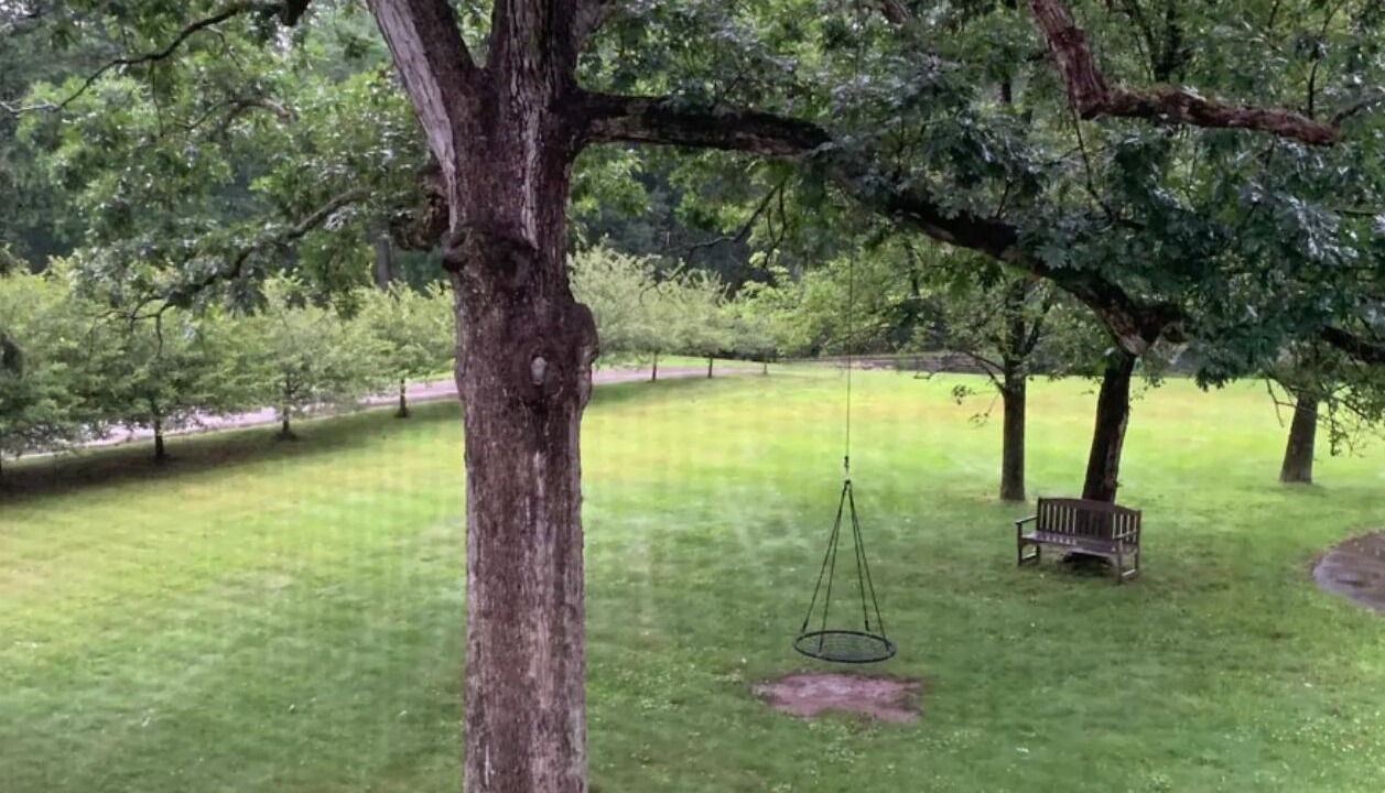 Photo of Outdoor in Weston