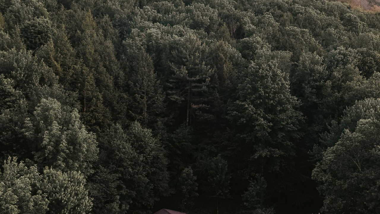 Photo of Outdoor in Arkville