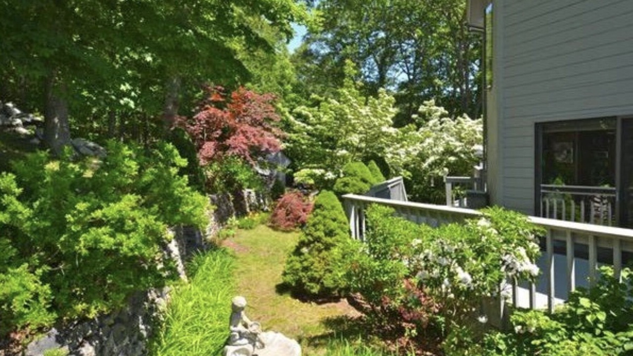 Photo of Outdoor in Lyme