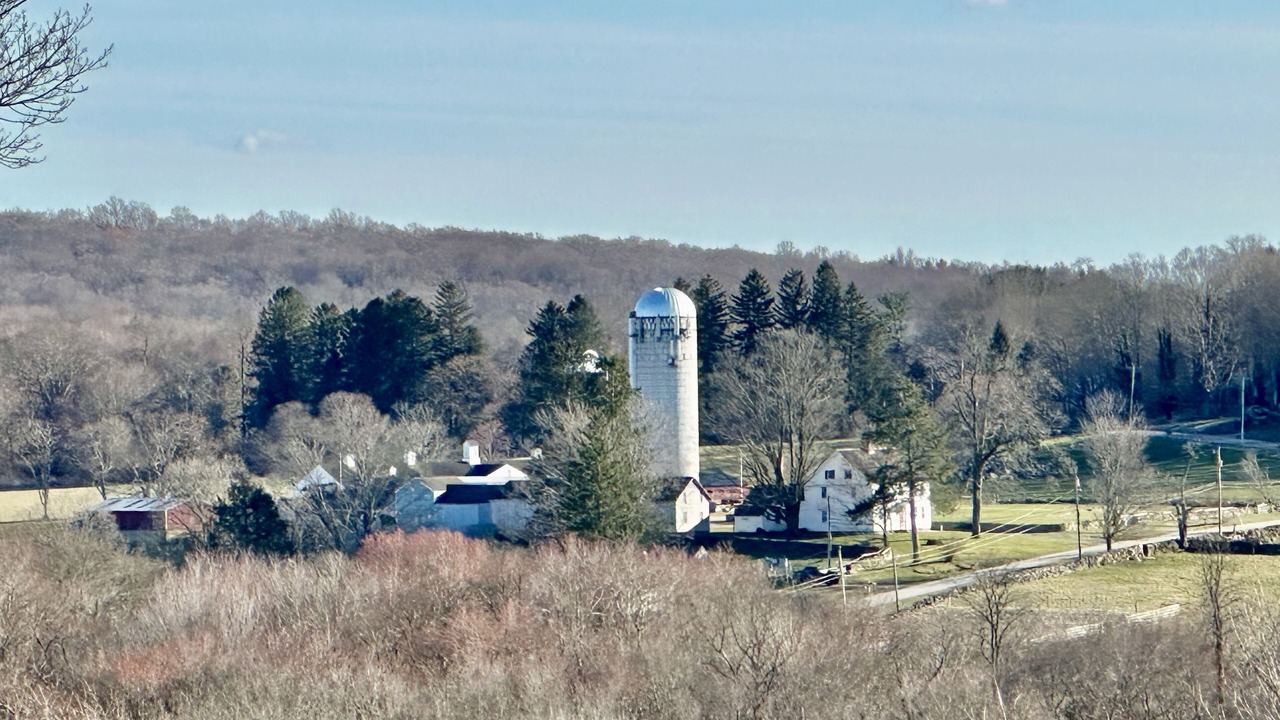 Photo of Others in Lyme