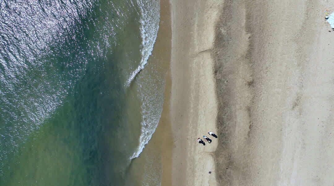 Photo of Others in Chatham