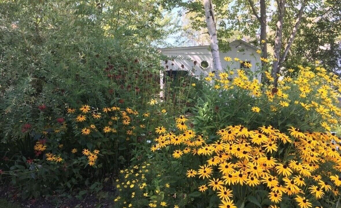 Photo of Outdoor in Scarborough
