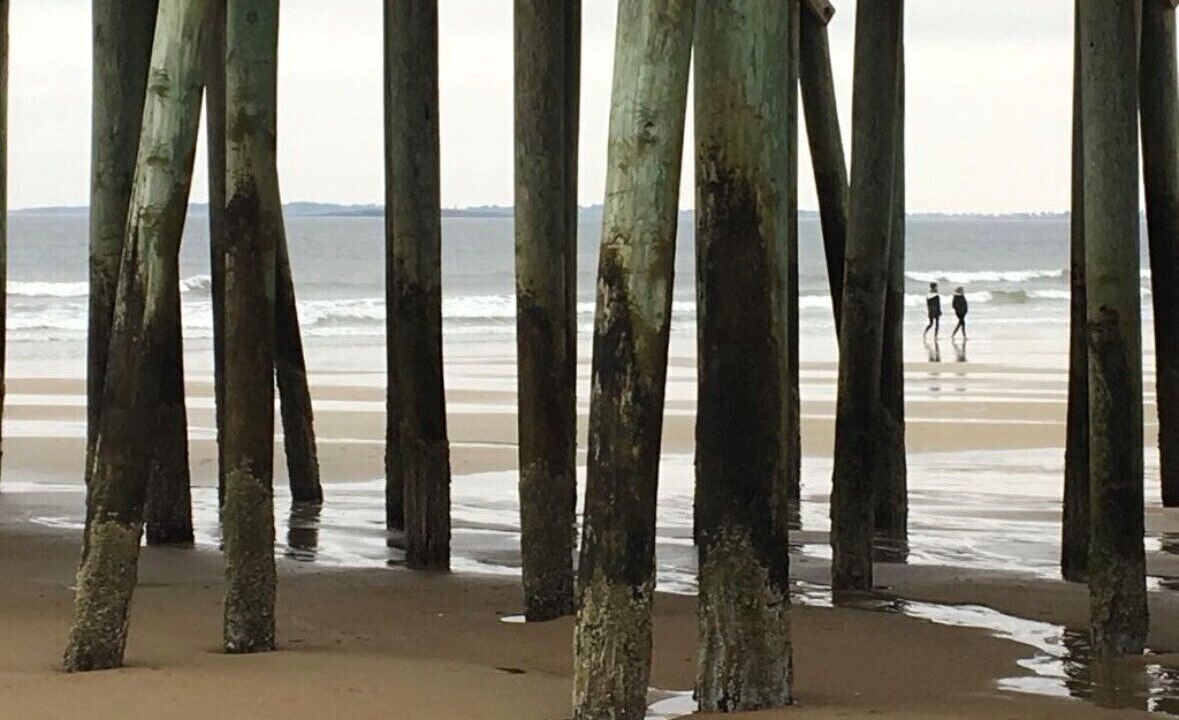Photo of Others in Scarborough