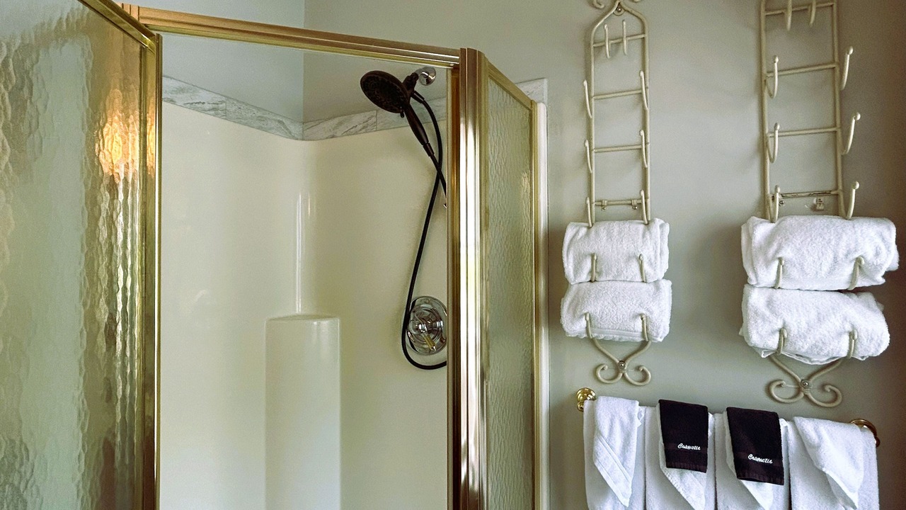 Photo of Bathroom in Bartlett