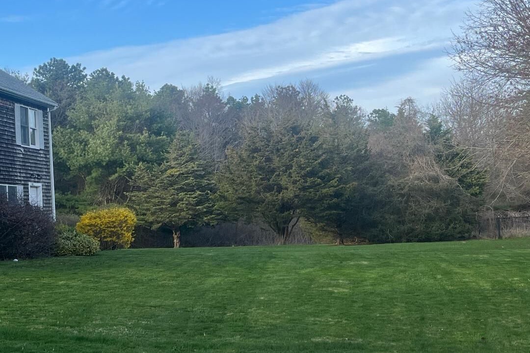 Photo of Outdoor in Hatchville