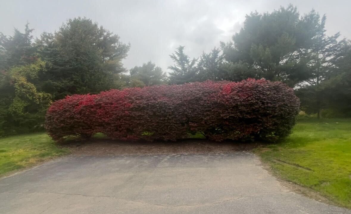 Photo of Outdoor in Hatchville