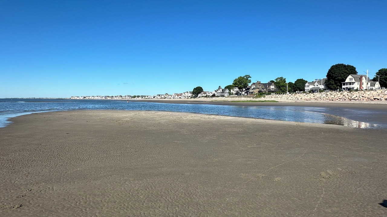 Photo of Others in Milford