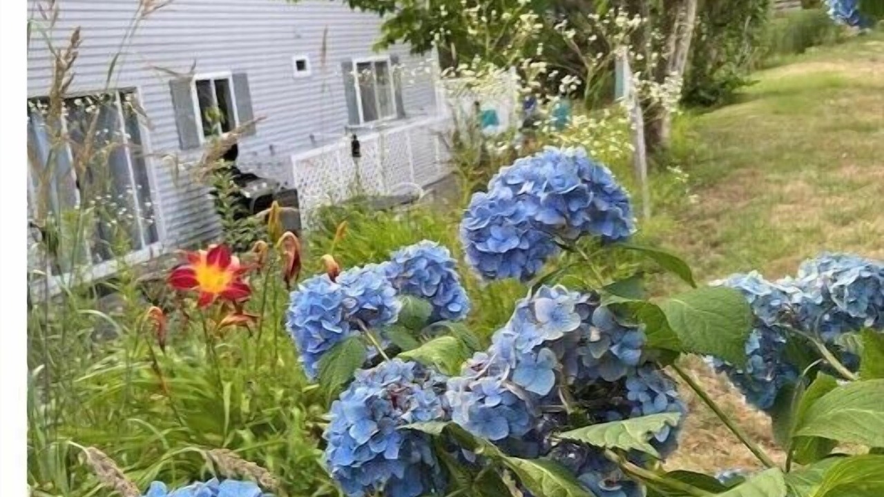 Photo of Outdoor in Narragansett
