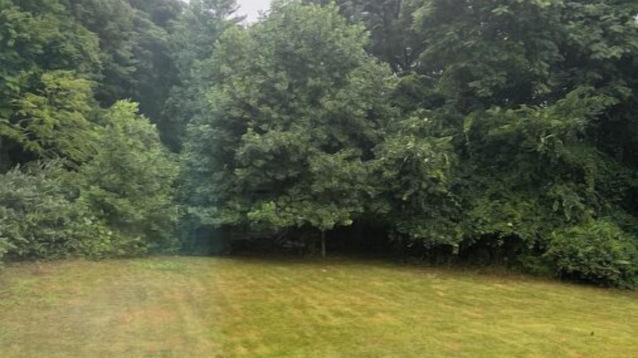 Photo of Outdoor in Hamden
