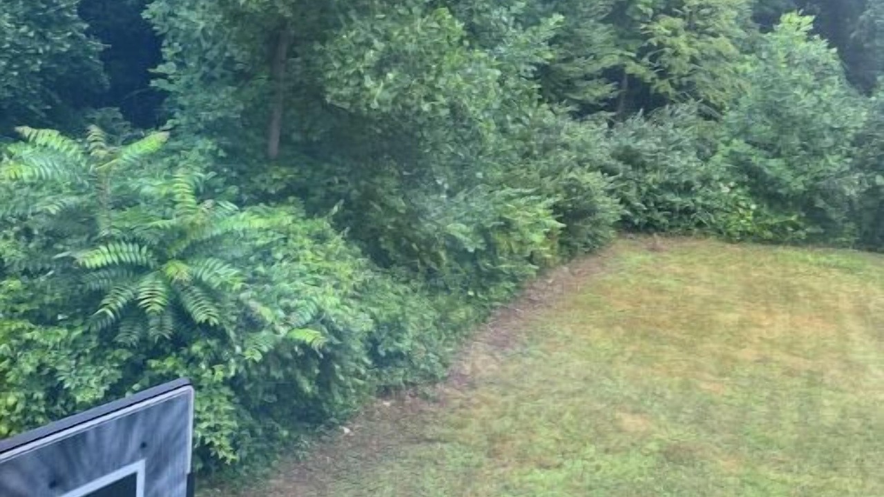 Photo of Outdoor in Hamden