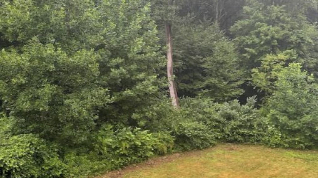 Photo of Outdoor in Hamden