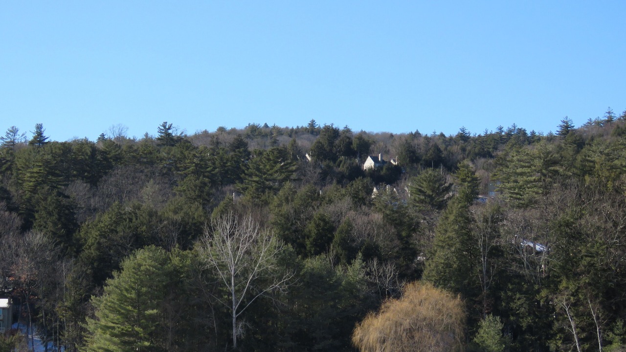 Photo of Others in Lake George