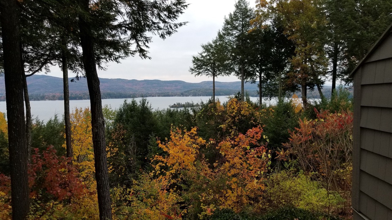 Photo of Others in Lake George