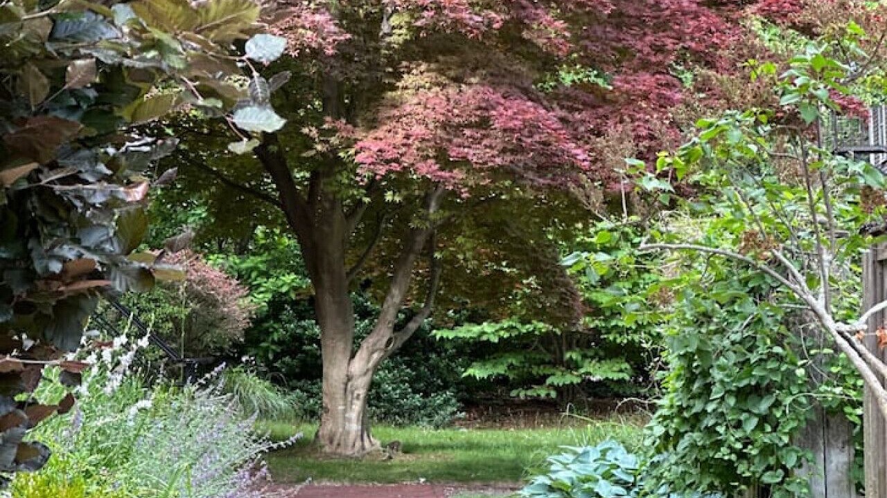 Photo of Outdoor in College Hill