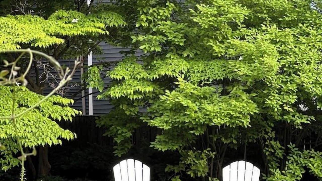 Photo of Outdoor in College Hill