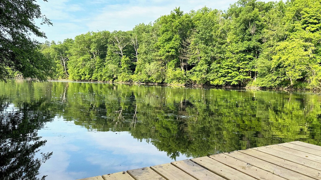 Photo of Others in Mount Marion