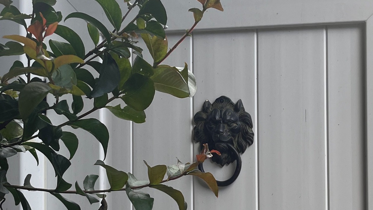 Photo of Outdoor in The Point