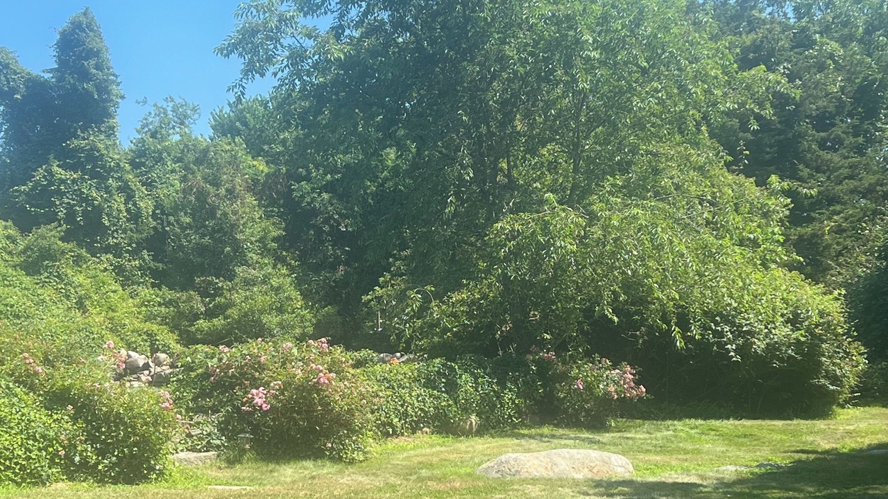 Photo of Outdoor in Weekapaug