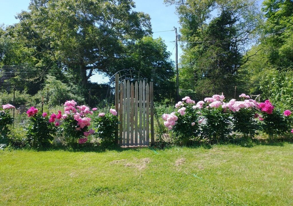Photo of Outdoor in Adamsville