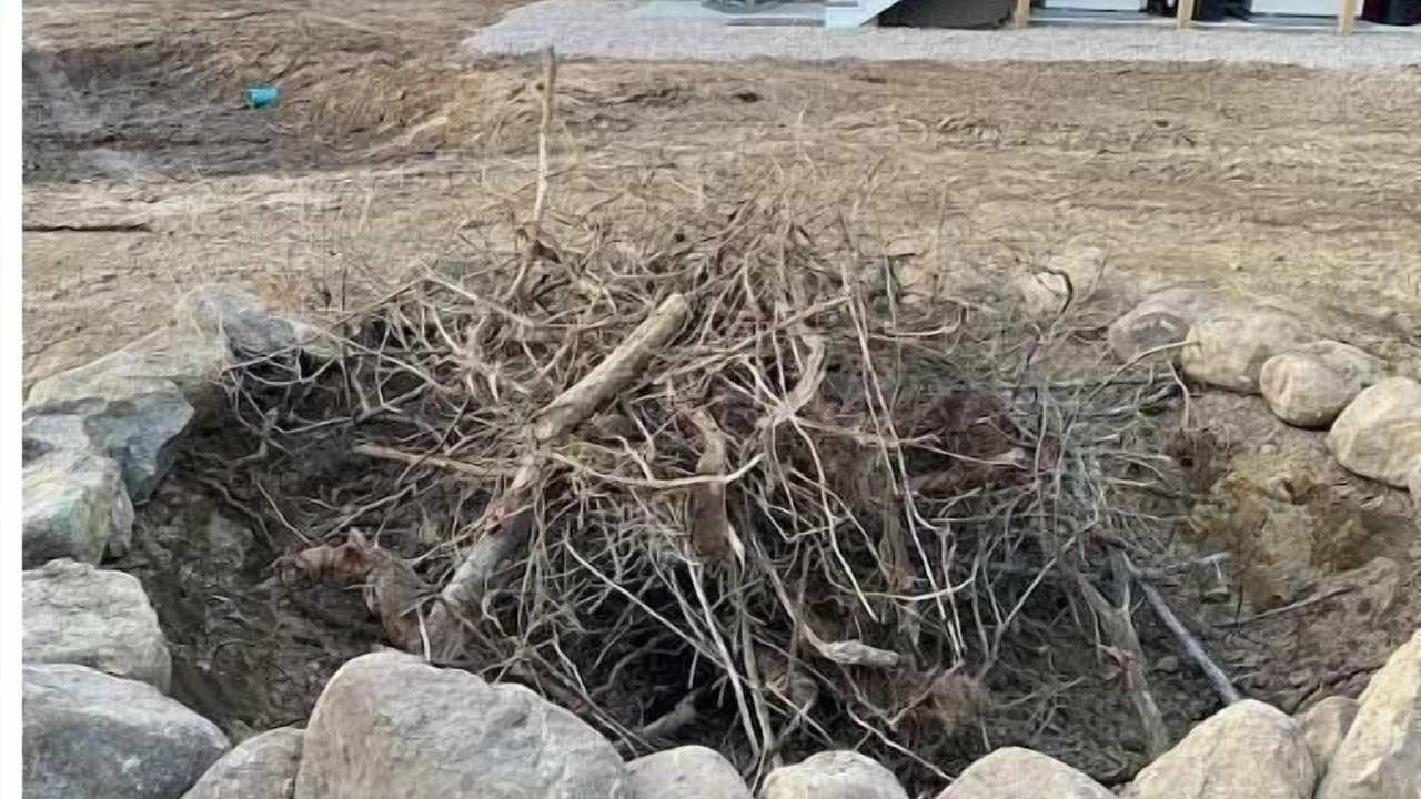 Photo of Outdoor in South Kingstown