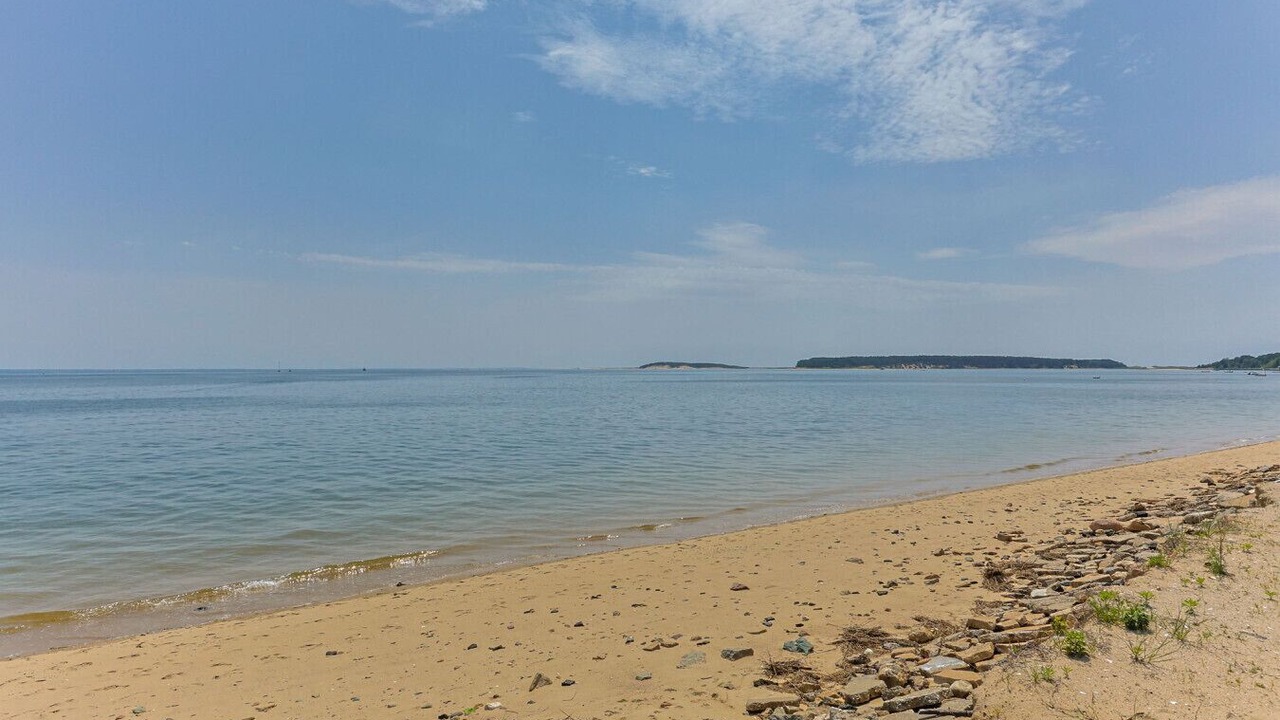 Photo of Others in Wellfleet