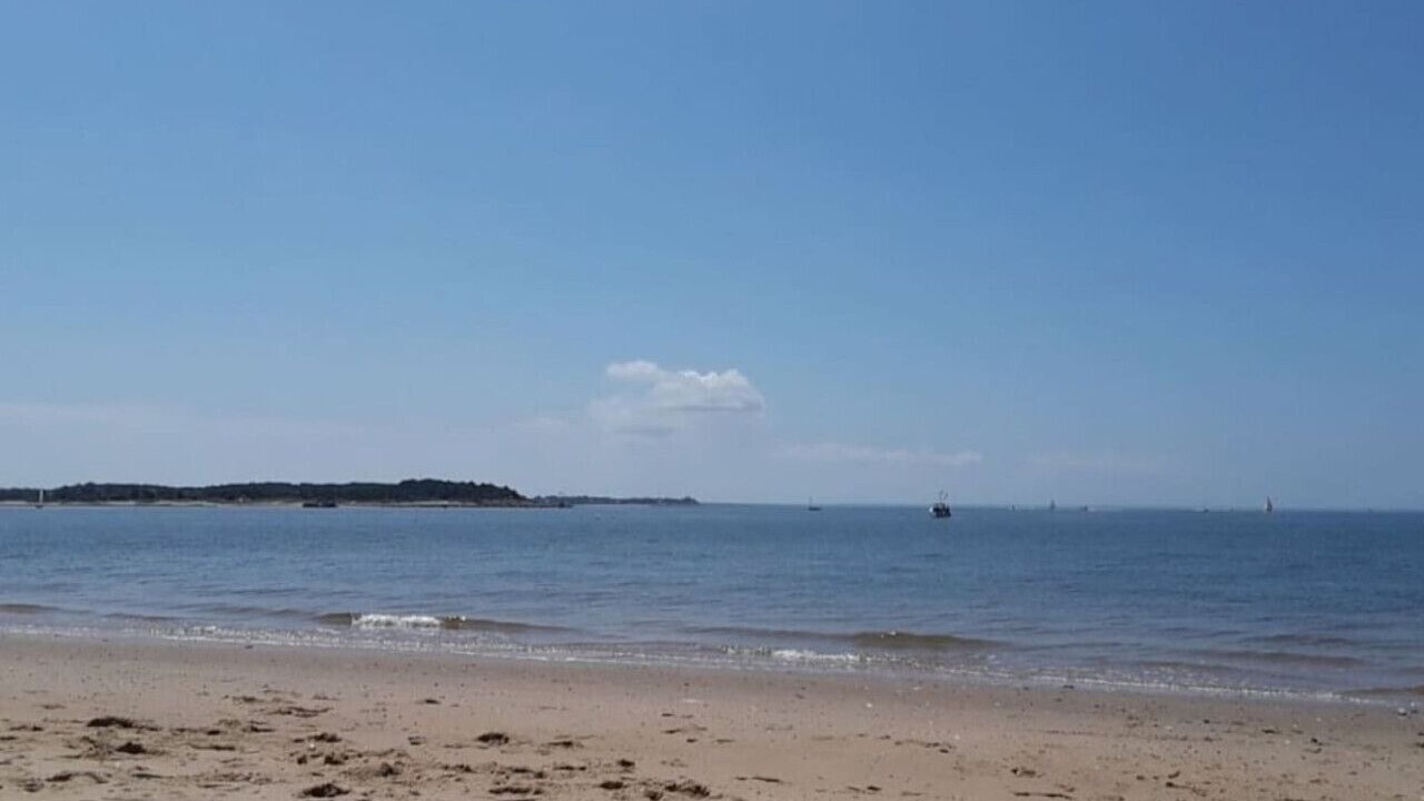 Photo of Others in Wellfleet