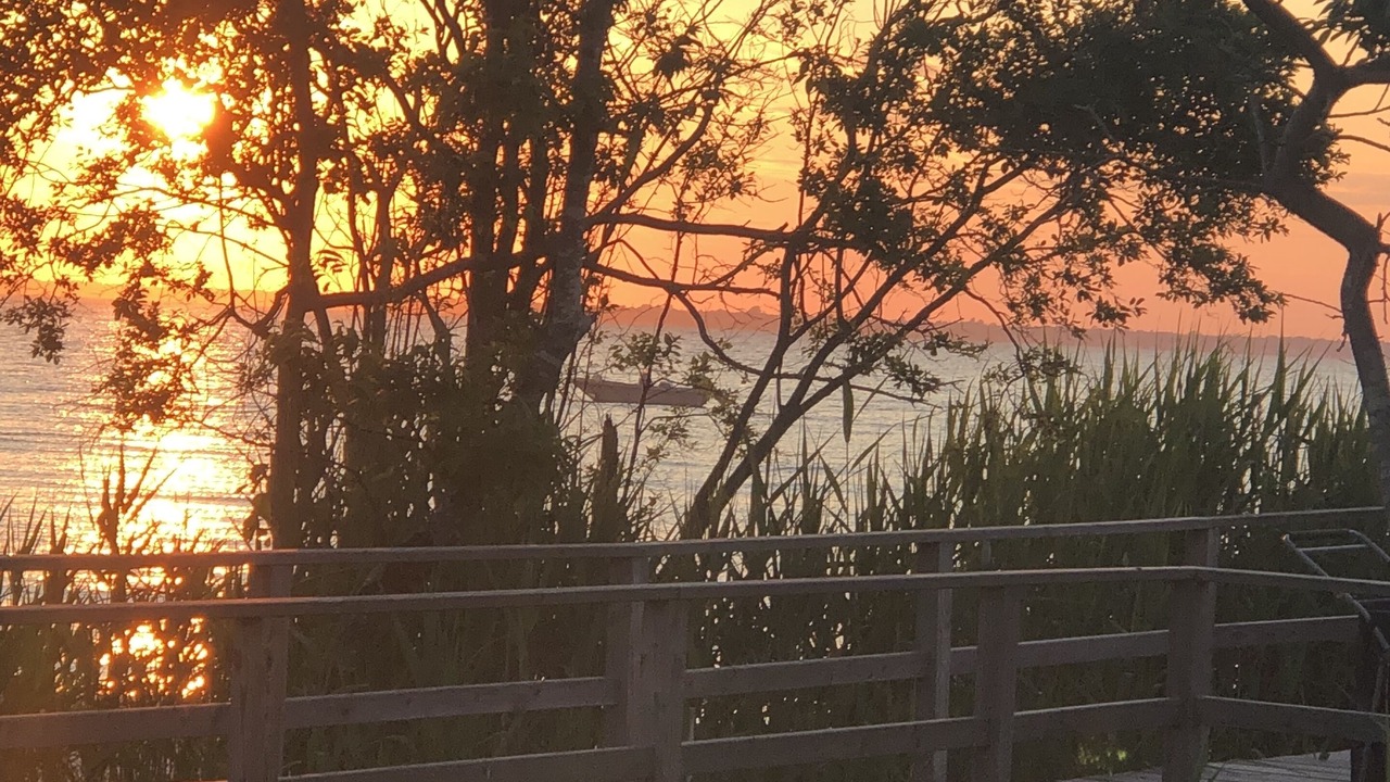 Photo of Others in Bayberry Dunes