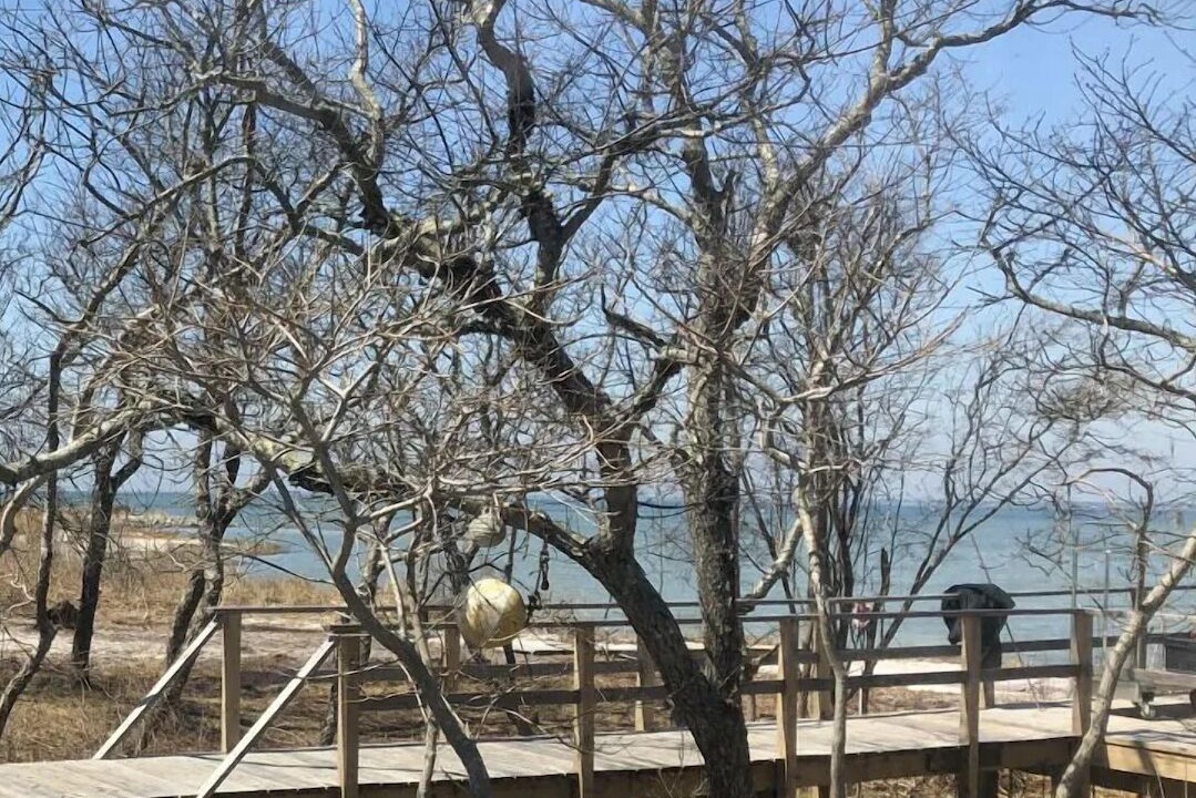 Photo of Others in Bayberry Dunes