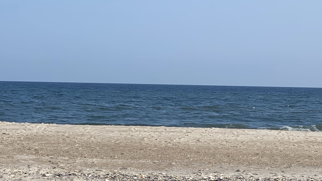 Photo of Others in Bayberry Dunes
