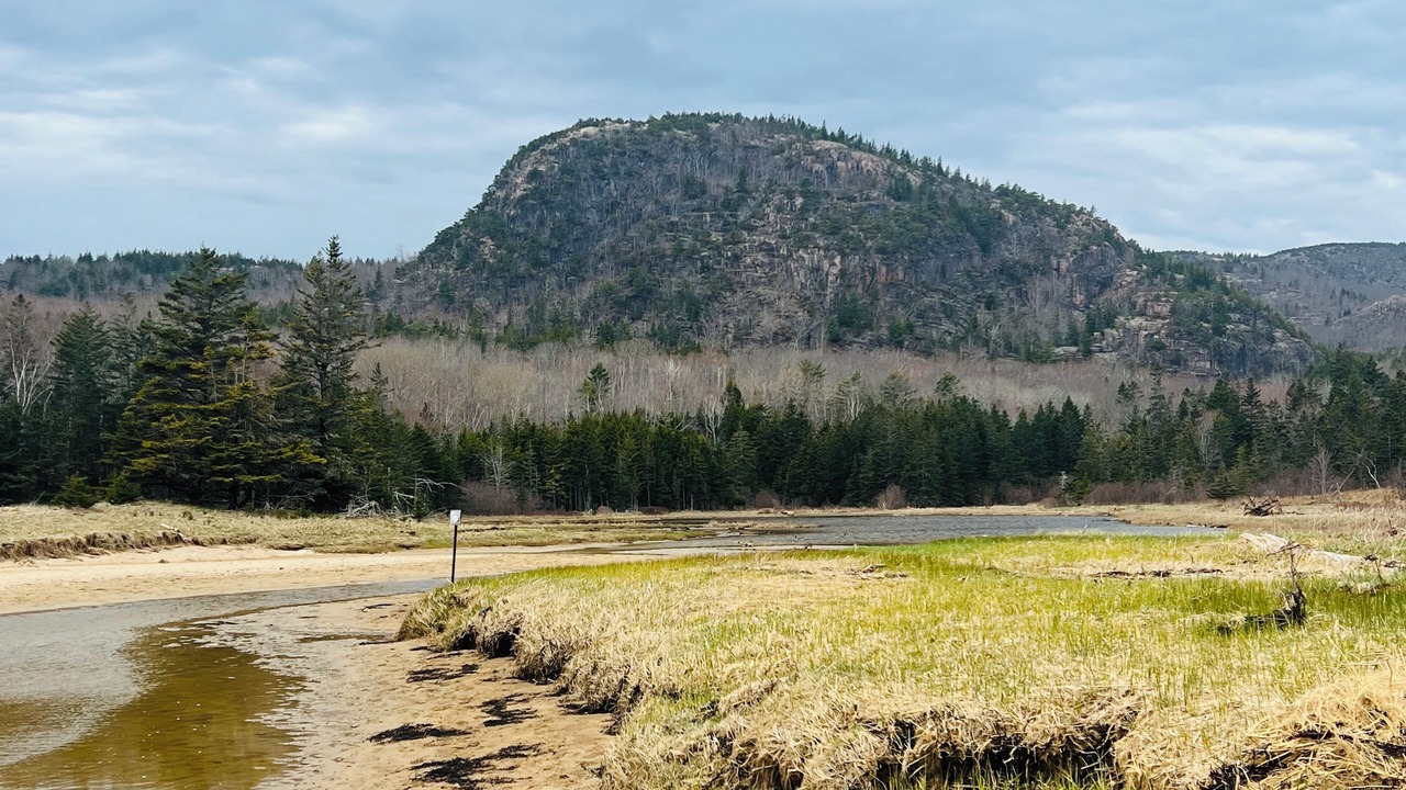 Photo of Others in Bar Harbor
