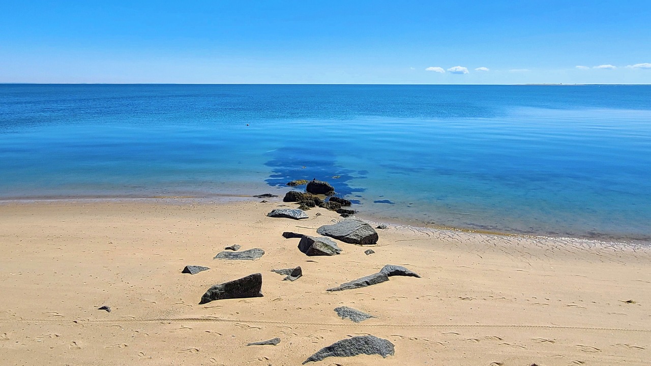 Photo of Others in North Truro