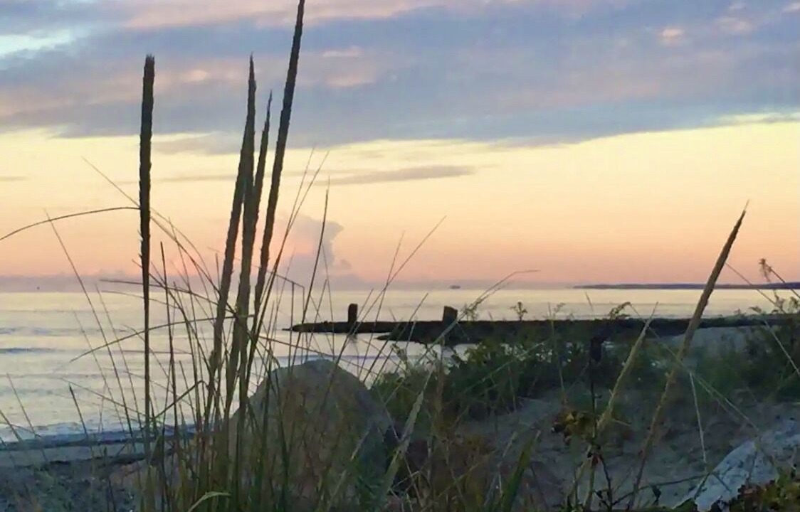 Photo of Others in East Falmouth