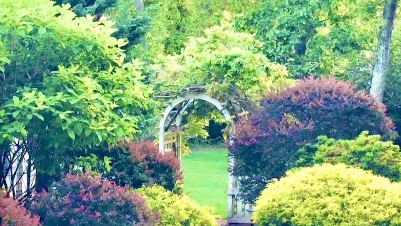 Photo of Outdoor in East Falmouth