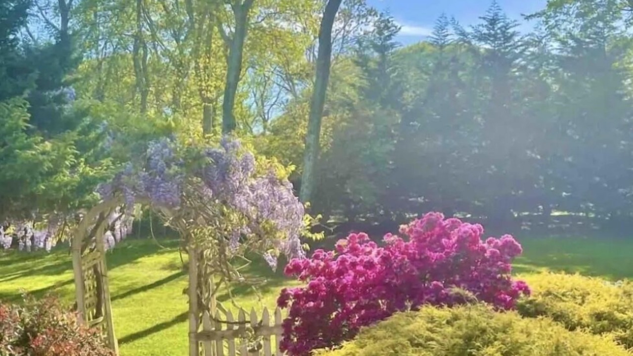 Photo of Outdoor in East Falmouth