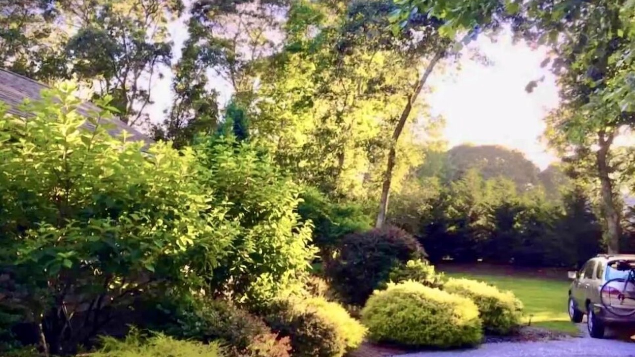 Photo of Outdoor in East Falmouth