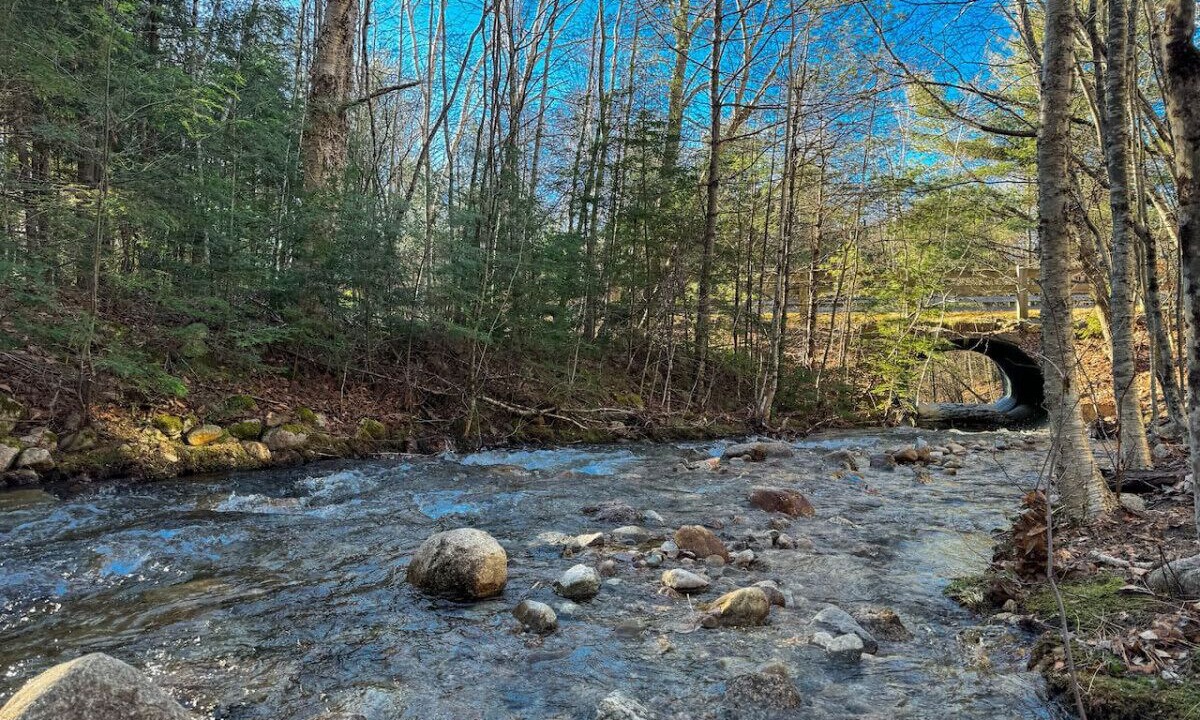 Photo of Others in North Conway