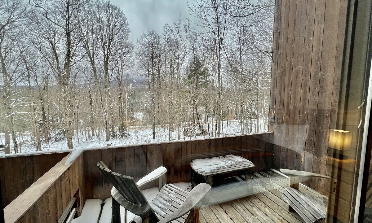 Photo of Outdoor in Forest Farms