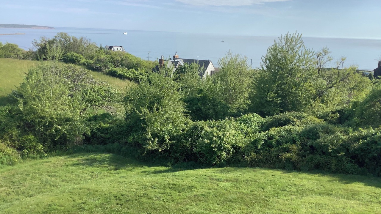 Photo of Others in Block Island