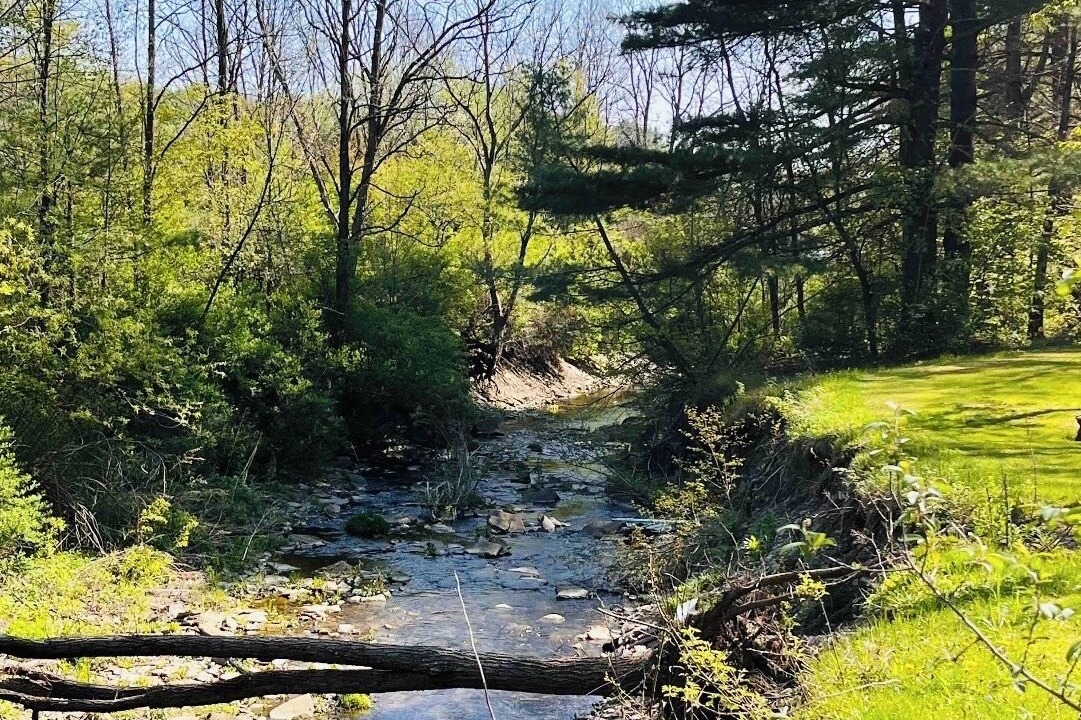 Photo of Others in Addison