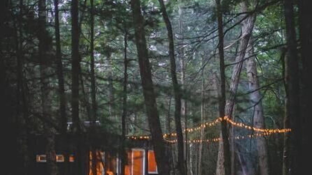 Photo of Outdoor in Saugerties