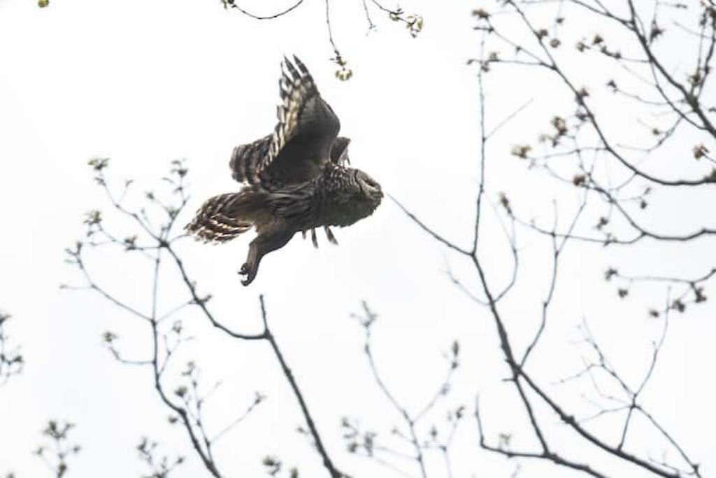 Photo of Others in Saugerties