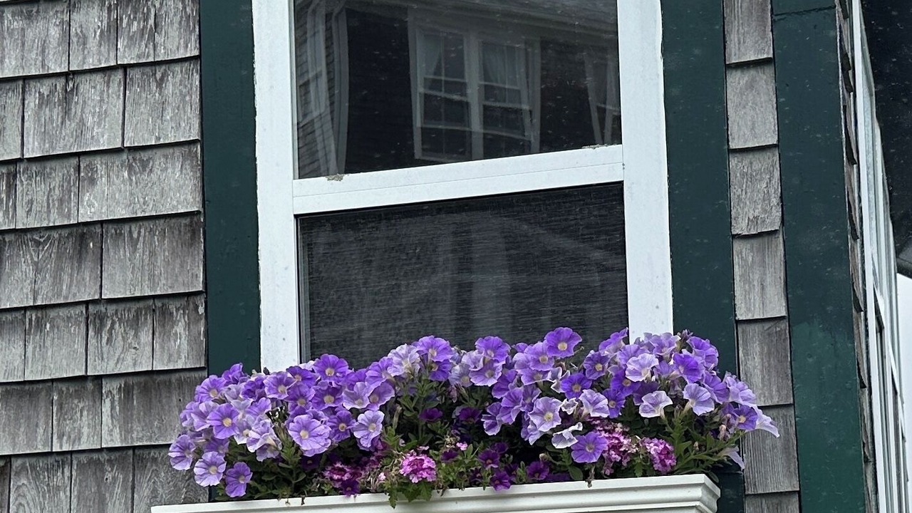 Photo of Outdoor in Bernard