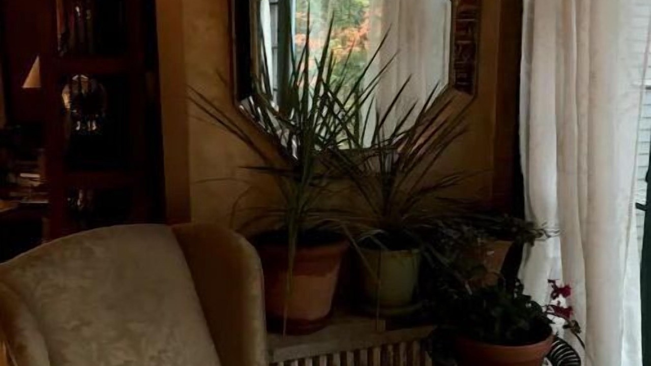 Photo of Bedroom in Arlington