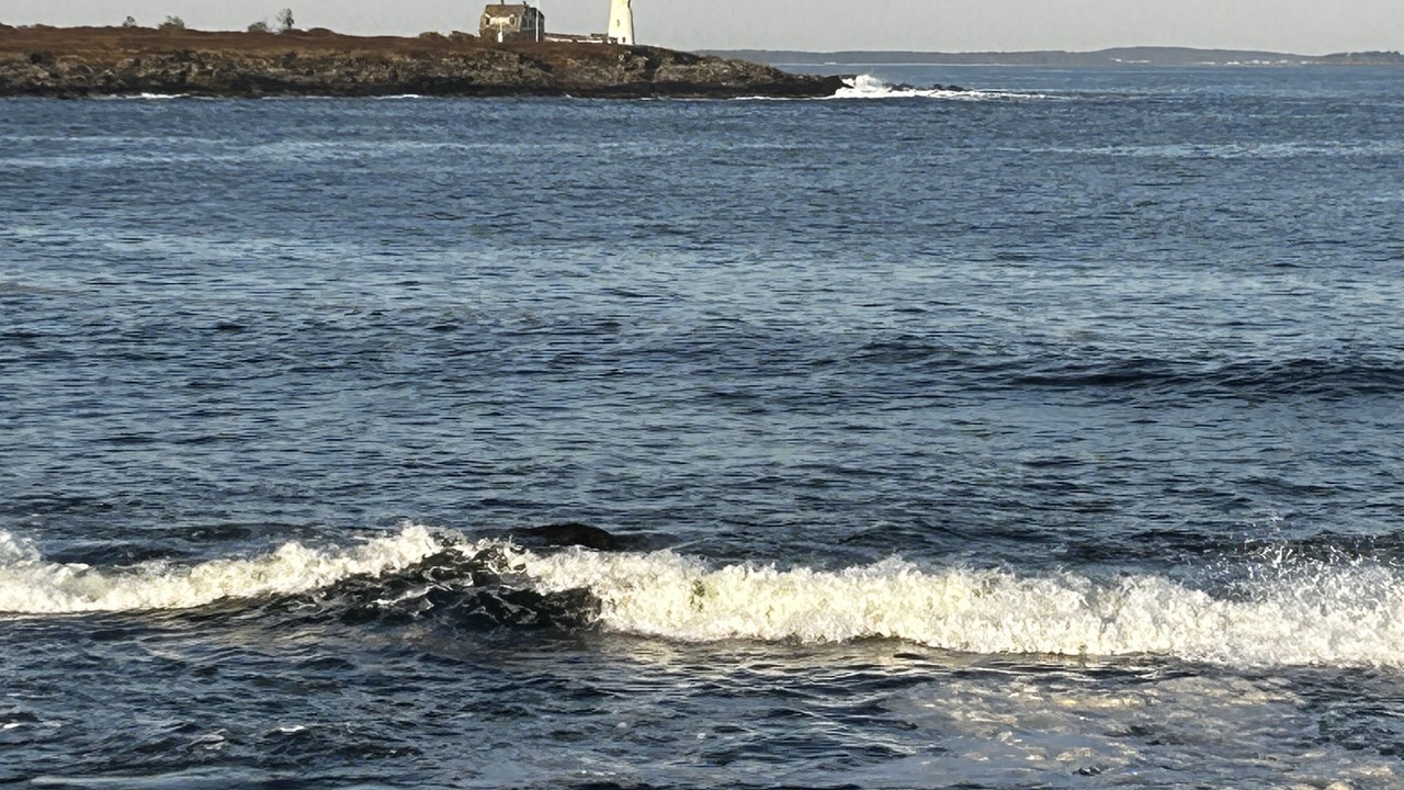 Photo of Outdoor in Fortunes Rocks
