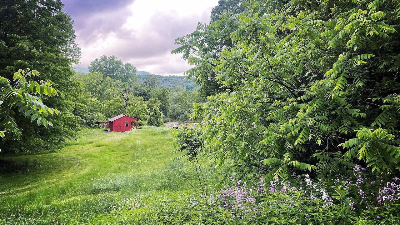 Photo of Outdoor in Manchester Center