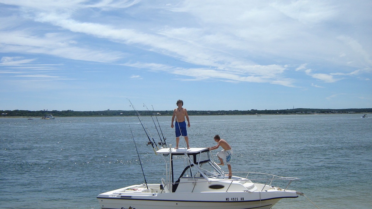Photo of Others in Hyannis