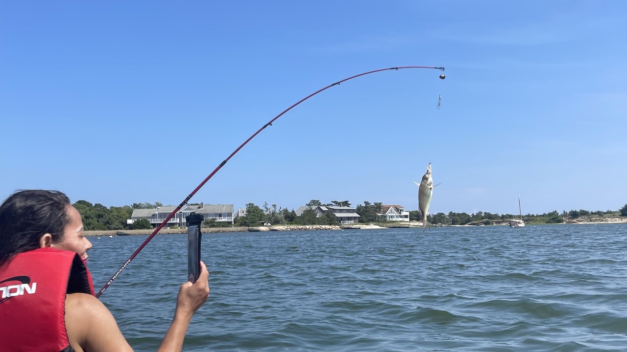 Photo of Others in Hyannis